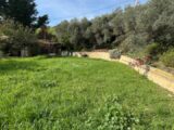  2179612-7060annonce120241205LUrvA.jpeg Maisons Open