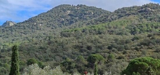 Terrain à bâtir à Sorède, Occitanie