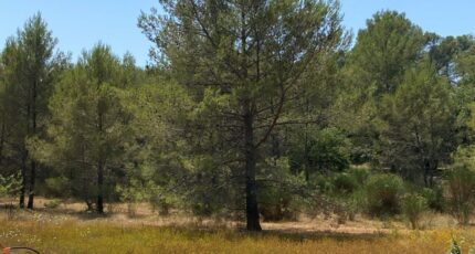Brignoles Terrain à bâtir - 2136438-9599annonce120250418VTks3.jpeg Maisons Open
