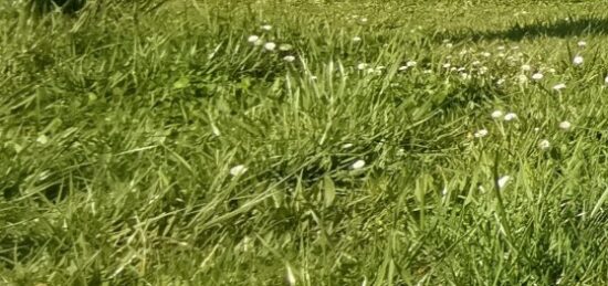 Terrain à bâtir à Périgueux, Nouvelle-Aquitaine