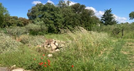 Villevieille Terrain à bâtir - 2170964-609annonce220250526X9g5h.jpeg Maisons Open