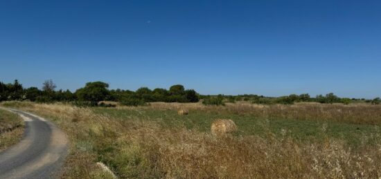 Terrain à bâtir à Marseillan, Occitanie
