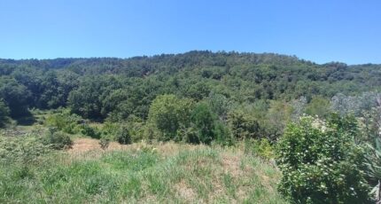 Laurac-en-Vivarais Terrain à bâtir - 2282083-5100annonce1202509240MsRP.jpeg Maisons Open