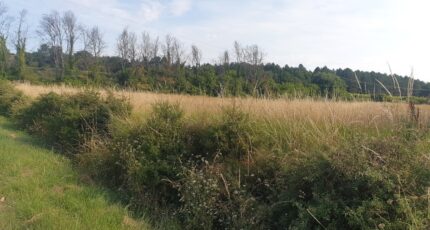 Vagnas Terrain à bâtir - 2288522-5100annonce120250930MiSFM.jpeg Maisons Open