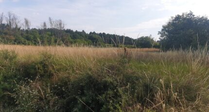 Vagnas Terrain à bâtir - 2288522-5100annonce220250930zlT5S.jpeg Maisons Open