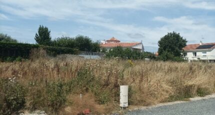 Cheffois Terrain à bâtir - 2311357-10941annonce120250625ZtAOi.jpeg Maisons Open