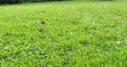 Miserey Terrain à bâtir - 2320421-10332annonce120251029lXHRC.jpeg Maisons Open