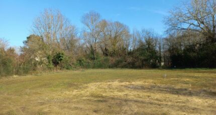 Chinon Terrain à bâtir - 2274609-3427annonce120250917wZOw9.jpeg Maisons Open