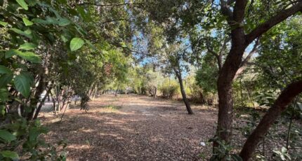 Cuers Terrain à bâtir - 2275893-9599annonce120250918yLMgx.jpeg Maisons Open