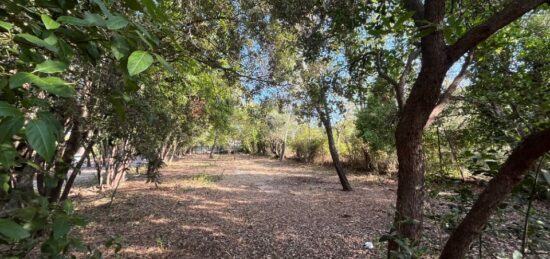 Terrain à bâtir à Cuers, Provence-Alpes-Côte d'Azur