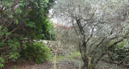 Goudargues Terrain à bâtir - 2255511-5100annonce2202509016gQJV.jpeg Maisons Open