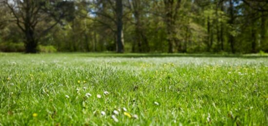 Terrain à bâtir à Notre-Dame-d'Oé, Centre-Val de Loire