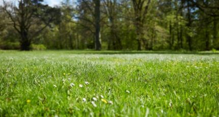 Vallères Terrain à bâtir - 2296250-3427annonce120251007FVcBe.jpeg Maisons Open