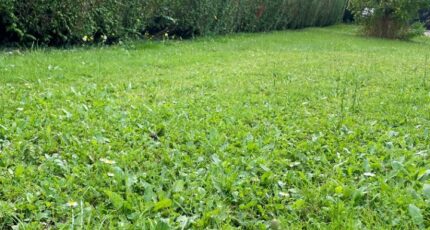 Amfreville-sur-Iton Terrain à bâtir - 2296471-10332annonce1202510072bEBw.jpeg Maisons Open