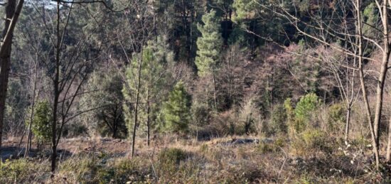 Terrain à bâtir à , Ardèche