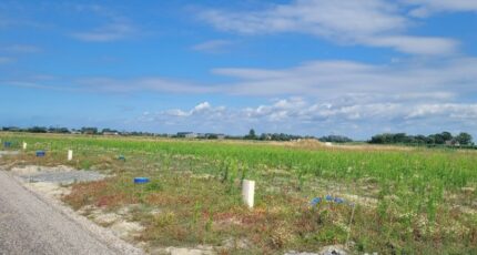 Saint-Folquin Terrain à bâtir - 2305419-1587annonce320251015BBeXw.jpeg Maisons Open