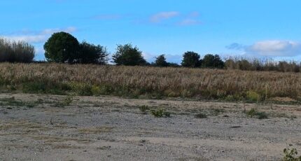 Saint-Jean-Lasseille Terrain à bâtir - 2271749-4671annonce120250915xQDuB.jpeg Maisons Open