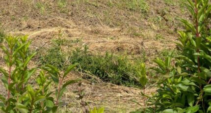 Nanterre Terrain à bâtir - 2304844-11643annonce120251110EbDkr.jpeg Maisons Open