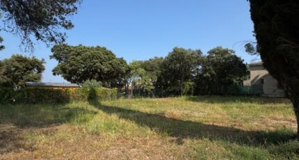 Castries Terrain à bâtir - 2305727-11455annonce120251015l32KB.jpeg Maisons Open