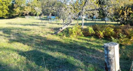 Saint-Martin-Terressus Terrain à bâtir - 2306511-3291annonce220251015u4VSD.jpeg Maisons Open