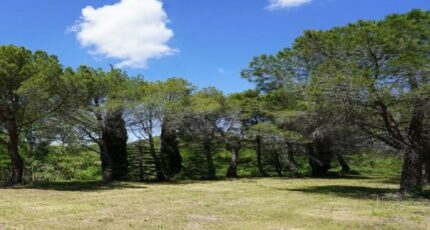 Villeneuve-les-Corbières Terrain à bâtir - 2307096-10986annonce120250827wdO77.jpeg Maisons Open