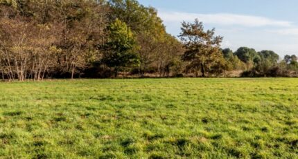 Cocumont Terrain à bâtir - 2267295-10776annonce120250911zgJNc.jpeg Maisons Open