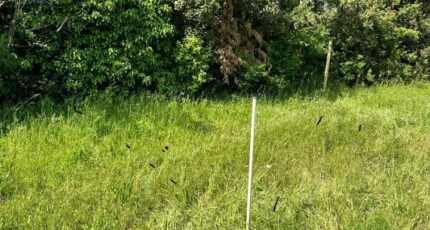 Septèmes-les-Vallons Terrain à bâtir - 2270156-7054annonce120250913h1qTb.jpeg Maisons Open