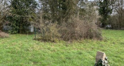 Rouans Terrain à bâtir - 2306572-11110annonce220251015RePBc.jpeg Maisons Open