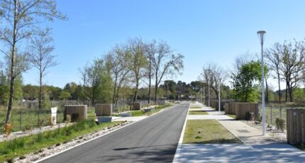 Parentis-en-Born Terrain à bâtir - 2307197-10776annonce120251016yARLR.jpeg Maisons Open