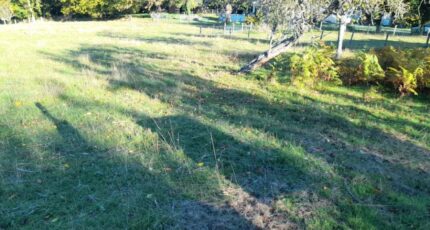 Saint-Martin-Terressus Terrain à bâtir - 2307501-3291annonce120251016bkVgT.jpeg Maisons Open