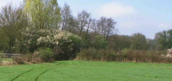 Terrain à bâtir à Conflans-Sainte-Honorine, Île-de-France