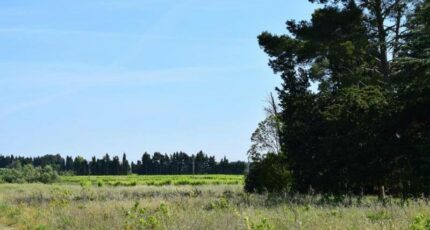 Domazan Terrain à bâtir - 2307872-3243annonce120251016dr0d9.jpeg Maisons Open