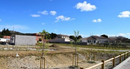 Estézargues Terrain à bâtir - 2307923-3243annonce220251016pbnUr.jpeg Maisons Open