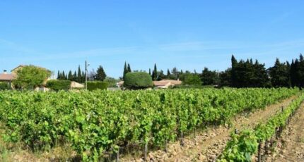 Estézargues Terrain à bâtir - 2307923-3243annonce320251016aiLlJ.jpeg Maisons Open