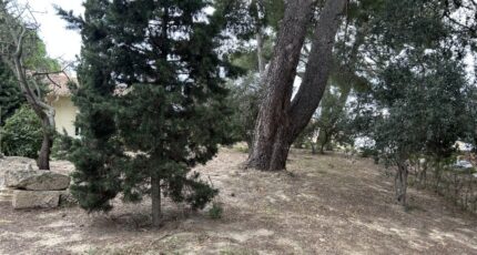 Bouzigues Terrain à bâtir - 2307936-11018annonce320251016qmXAB.jpeg Maisons Open