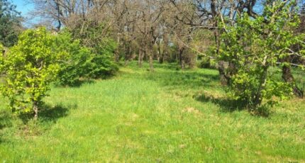 Labastide-du-Temple Terrain à bâtir - 2306258-3575annonce120251015mbklK.jpeg Maisons Open