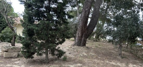 Terrain à bâtir à Bouzigues, Occitanie