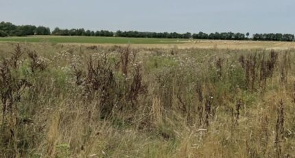 Lasson Terrain à bâtir - 2307527-11563annonce120251016rcef8.jpeg Maisons Open