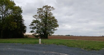 Émiéville Terrain à bâtir - 2307727-11563annonce120251016T6P7H.jpeg Maisons Open