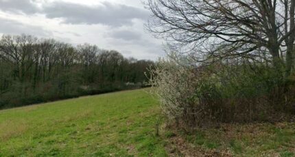 Le Fousseret Terrain à bâtir - 2271823-6043annonce420250915XtGaw.jpeg Maisons Open