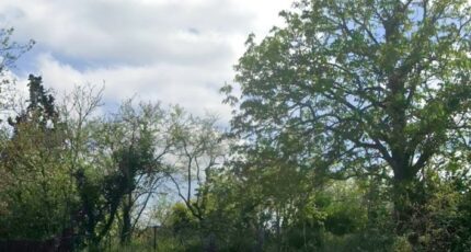 Grazac Terrain à bâtir - 2271912-6043annonce520250915WhxVZ.jpeg Maisons Open