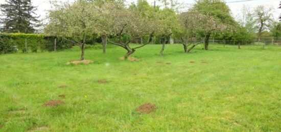 Terrain à bâtir à Triel-sur-Seine, Île-de-France
