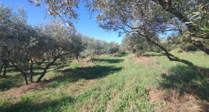 Vagnas Terrain à bâtir - 2246139-5100annonce120250818Bw2NB.jpeg Maisons Open