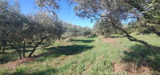 Terrain à bâtir à Vagnas, Auvergne-Rhône-Alpes
