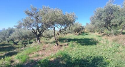 Vagnas Terrain à bâtir - 2246139-5100annonce220250818e9fKO.jpeg Maisons Open