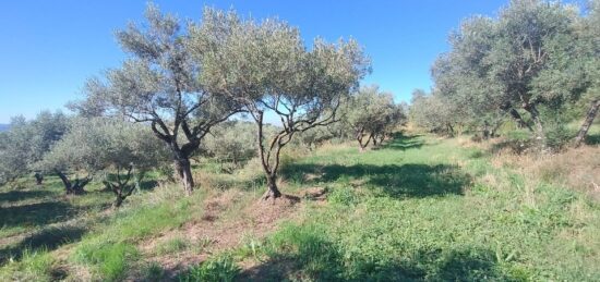 Terrain à bâtir à , Ardèche