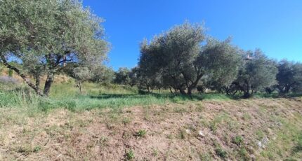 Vagnas Terrain à bâtir - 2246139-5100annonce320250818uKT2t.jpeg Maisons Open