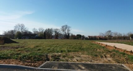 Pujaudran Terrain à bâtir - 2309249-9555annonce120251017507DE.jpeg Maisons Open