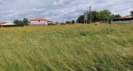 Saint-Nicolas-de-la-Grave Terrain à bâtir - 2308820-5604annonce320251017n5LKH.jpeg Maisons Open