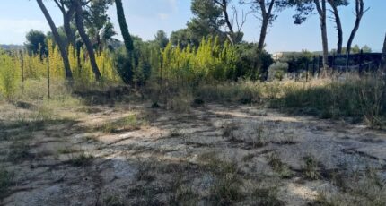 Septèmes-les-Vallons Terrain à bâtir - 2309419-11238annonce2202510179nmZL.jpeg Maisons Open